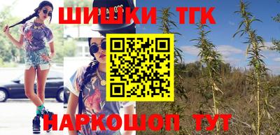 МДПВ Можайск