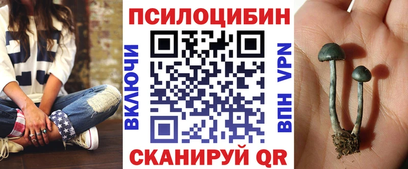 Галлюциногенные грибы мицелий  закладка  Шуя 
