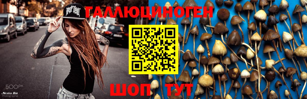 Галлюциногенные грибы мицелий  Вход с VPN  Шуя 